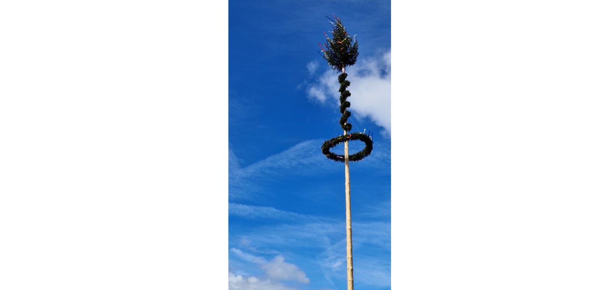 Maibaum 2026